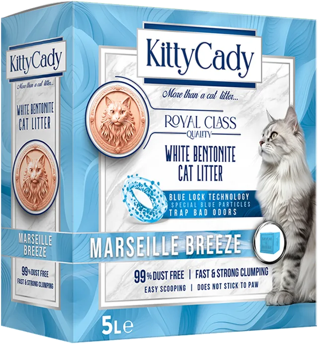 KittyCady Marseille Breeze